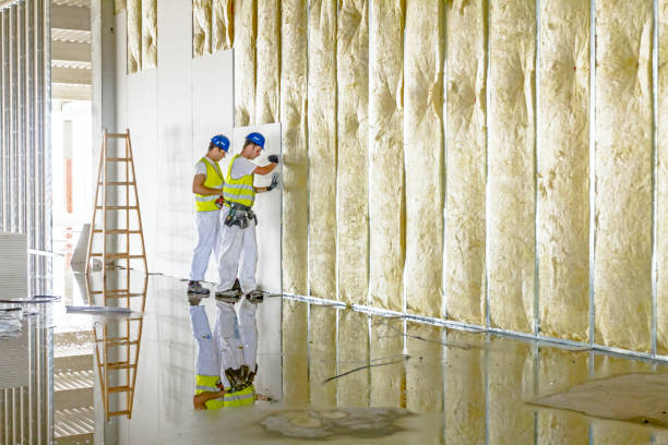 Best Insulation Removal  in Ome, GA